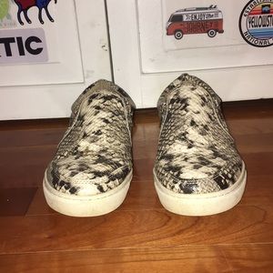 Steve Madden Snake Skin Elias Sneakers